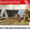 दुबई में चमका MP का ODOP, CM मोहन यादव ने किया स्टॉल का उद्घाटन