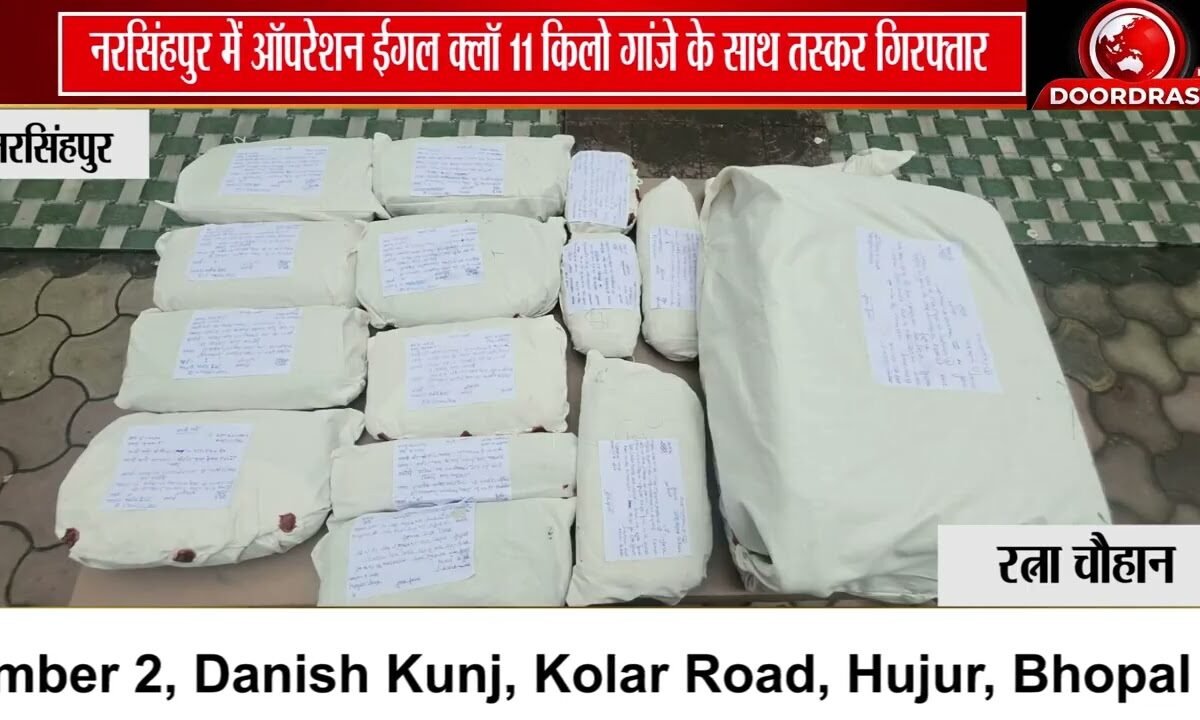 नरसिंहपुर में बड़ी कार्रवाई, ट्रॉली बैग से 11 किलो गांजा बरामद; तस्कर गिरफ्तार