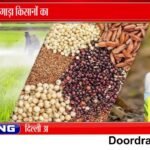 बारिश से सोयाबीन-उड़द बर्बाद, लागत निकालना मुश्किल