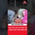 “सबसे पहले भोजन-पानी दो!” प्रभावित लोगों के बीच पहुंचे शिवराज सिंह चौहान