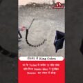 Toilet में अचानक दिखा King Cobra! करीब 10 फीट लंबे सांप से मचा हड़कंप