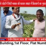आंधी-बारिश से खेतों में गिरी मक्का की फसल, छपारा क्षेत्र में किसानों के नुकसान का जायजा