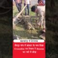 गांव में अचानक दिखा Crocodile! Shahjahanpur में मचा हड़कंप